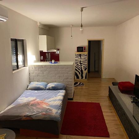 Adorable 1-Bedroom Guesthouse & Private Parking Place Velika Mlaka Exterior foto